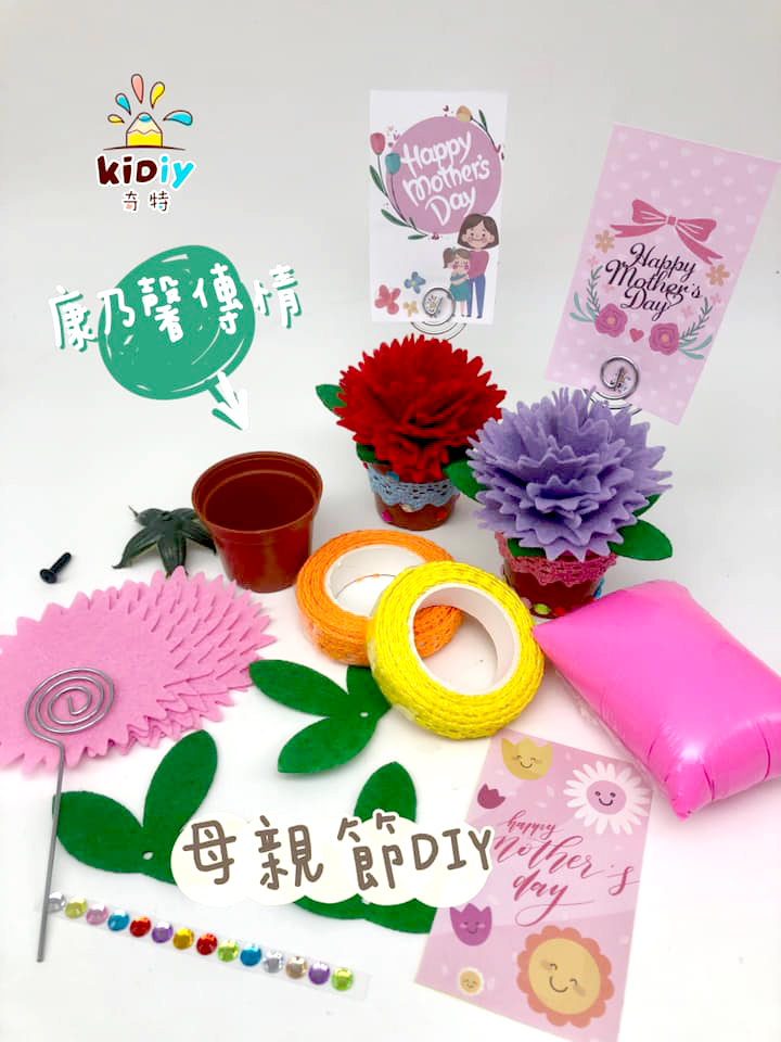奇特DiY材料包系列–康乃馨diy